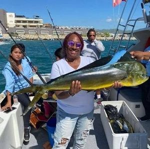 Meet your Posher, Sidney